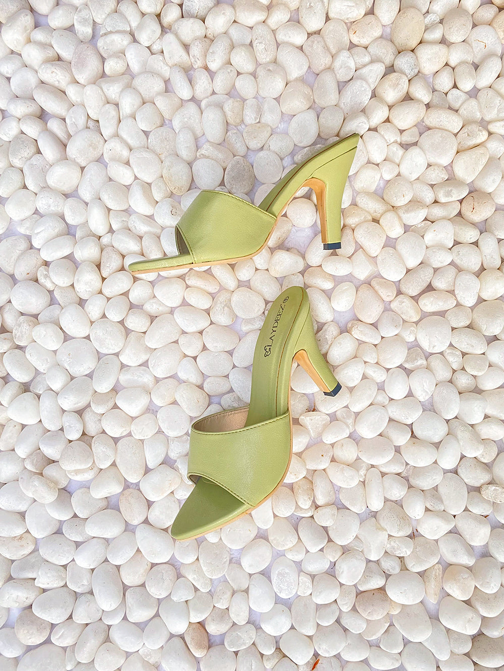 Fern Pointed Toe Mule Heels