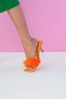 Orange Colour