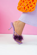 Purple Color