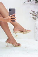 Beige Color
