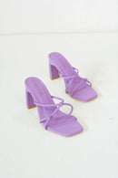 Purple Color
