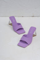 Purple Color