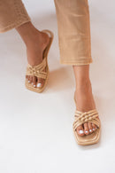 Beige Color